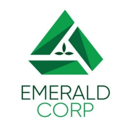 Emerald Corp Logo - Discount Vape Pen