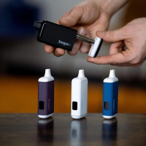 Randy’s Inspo Plus Discreet Cart Battery Wax Vape